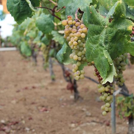 Chalet Las Vinas Icod De Los Vinos Zewnętrze zdjęcie