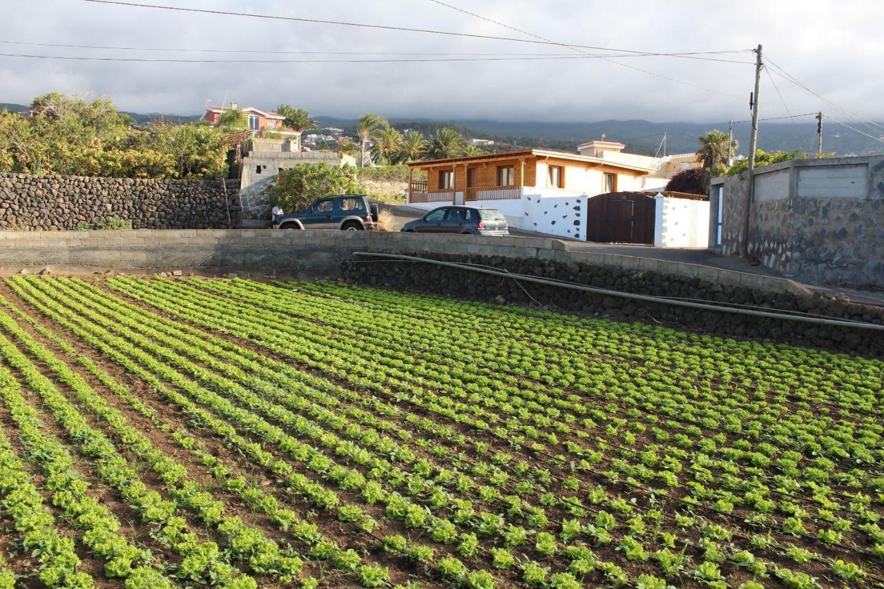 Chalet Las Vinas Icod De Los Vinos Zewnętrze zdjęcie